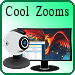 Cool Zooms challenge game