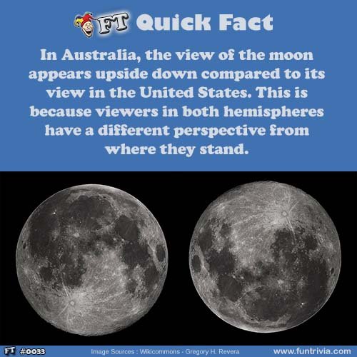 fun fact of the day