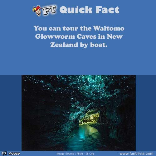fun fact of the day