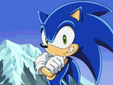 Sonic X - Episode 1 Trivia Quiz, Sonic X