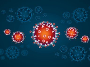 Viral Diseases Quizzes, Trivia