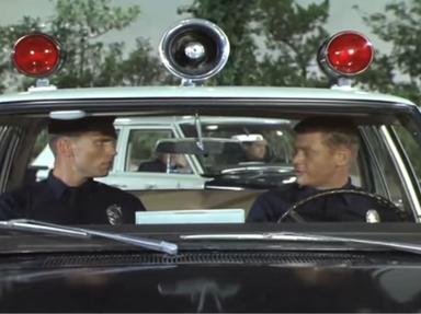 Quiz about Adam12  Mixed