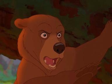 Quiz about Quotes of Brother Bear
