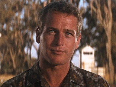Quiz about Cool Hand Luke Part IV