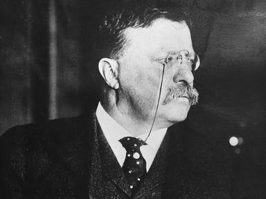 Quiz about Theodore Roosevelt