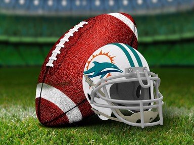   Miami Dolphins Quizzes, Trivia and Puzzles