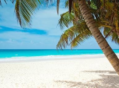 Quiz about  A Vacation In Tropical Paradise  The Caribbean