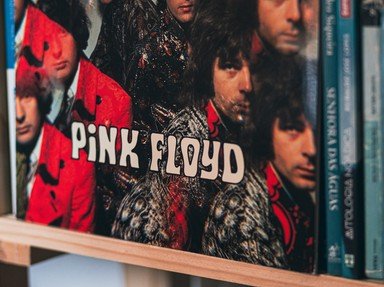 Quiz about The Albums of Pink Floyd