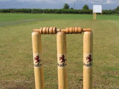 Quiz about Cricket Mixture
