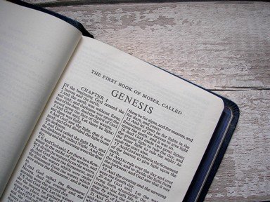 Quiz about Genesis In the Beginning Finally