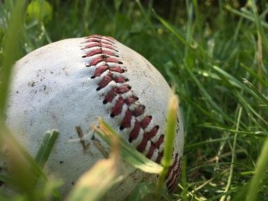 Quiz about Baseball for Newbies