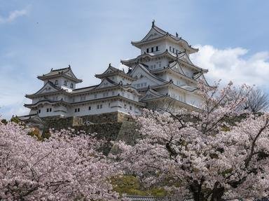 Quiz about Japan  A Tour Through Its History