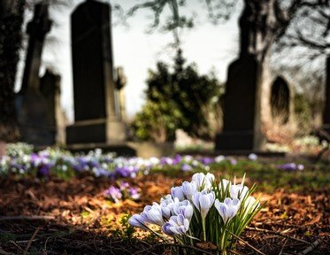  Celebrity Burial Locations Quizzes, Trivia