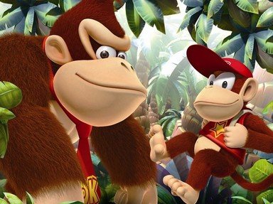 Quiz about Donkey Kong Country Returns Mixture