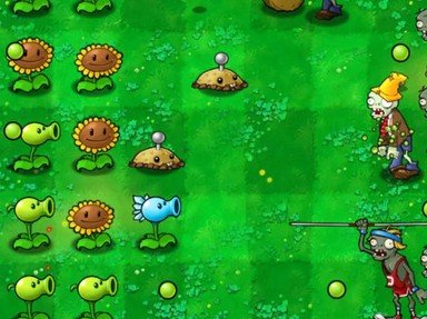 Quiz about Telling Plants from Zombies  the Easy Way