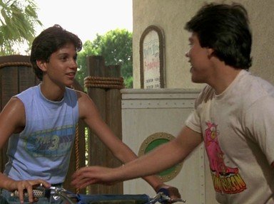 Karate Kid The Quizzes, Trivia and Puzzles