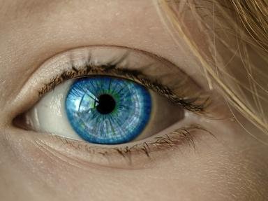 Quiz about The Eyes May Have It  Eye Disorders