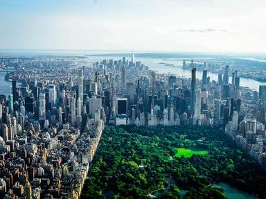  Mixed New York Quizzes, Trivia and Puzzles