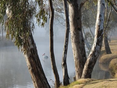 Quiz about Suburban Australian Waterways