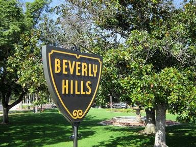 Quiz about Beverly Hills 90210