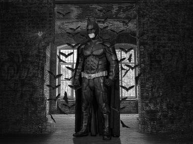 Quiz about Batman  The Dark Knight Returns