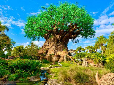 Quiz about Disneys Animal Kingdom