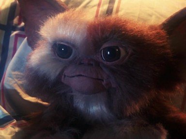 Gremlins Quizzes, Trivia and Puzzles
