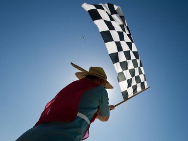 Quiz about Racing Flags Who am I
