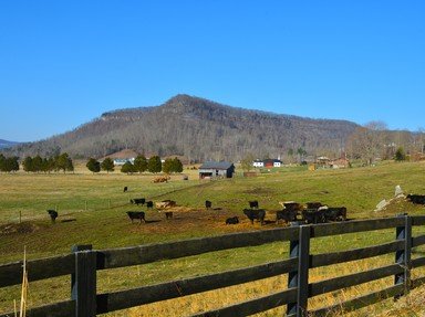 Quiz about The Bluegrass State of Kentucky