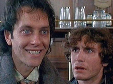 Quiz about Withnail and I  The Ultimate Cult Film