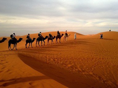 Deserts Quizzes, Trivia and Puzzles