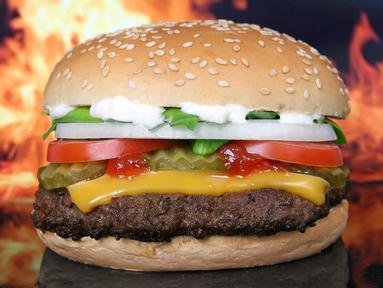 Quiz about The Great American Hamburger