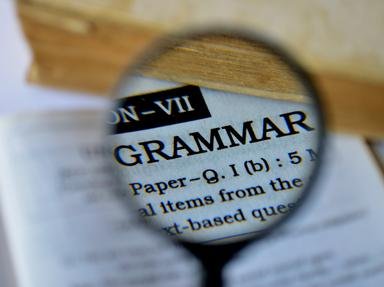 Grammatical and Lexical Items Quizzes, Trivia