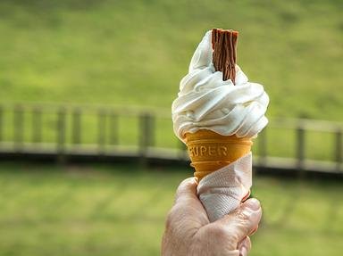 Quiz about Ice CreamFrozen Novelties