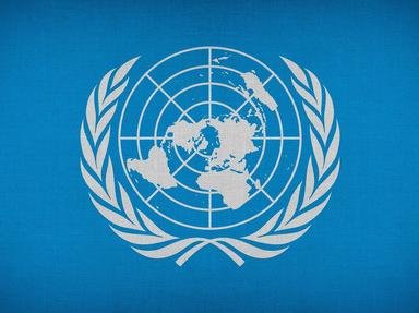 Quiz about The Basics of Model UN