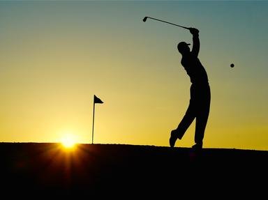 Quiz about Golfing Terms