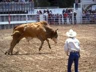 Quiz about Rodeo Rules