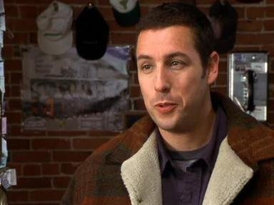 Mr Deeds Quizzes, Trivia and Puzzles