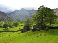 Quiz about The Lake District