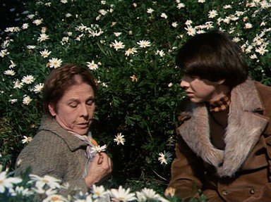 Quiz about Harold and Maude Part 5
