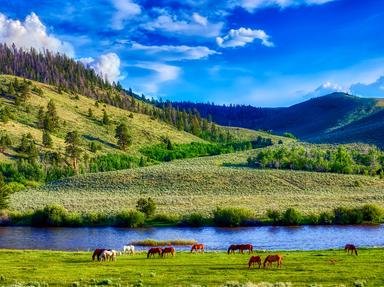Montana Quizzes, Trivia and Puzzles