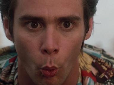 Quiz about The Ultimate Ace Ventura When Nature Calls Test