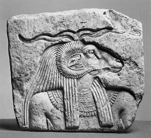 Ancient Egypt  Sacred Animals