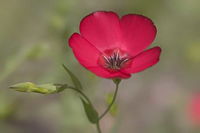 photo quiz