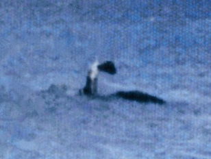 Cryptozoology and Monsters: Land and Water Cryptids  Oh My