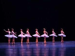 Picture This Ballet