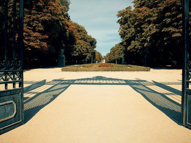 Quiz about Not Only Swings But also Flowers Ponds 