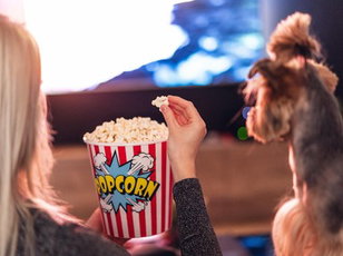 Entertaining Yourself in the 2000s