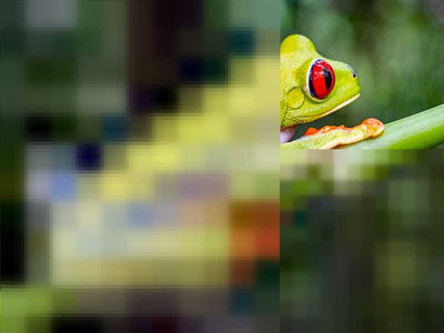 I Spy Red Eyes