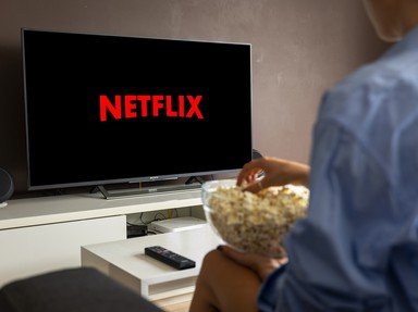 Quiz about Netflix TV Mixture